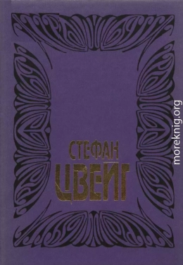 Цвейг С. Собрание сочинений. Том 6:  Врачевание и психика; Жозеф Футе: Портрет политического деятеля