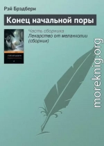 Конец начальной поры