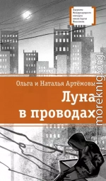 Луна в проводах