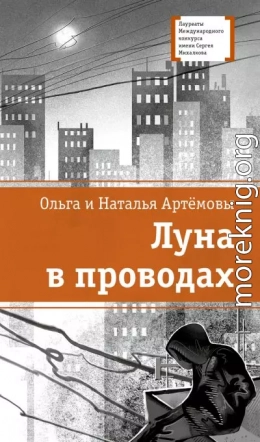 Луна в проводах