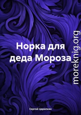 Норка для деда Мороза