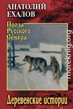 Деревенские истории