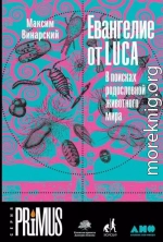 Евангелие от LUCA. В поисках родословной животного мира