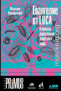 Евангелие от LUCA. В поисках родословной животного мира