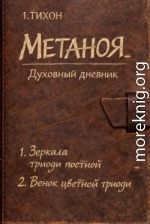 Метаноя