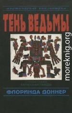 Тень ведьмы