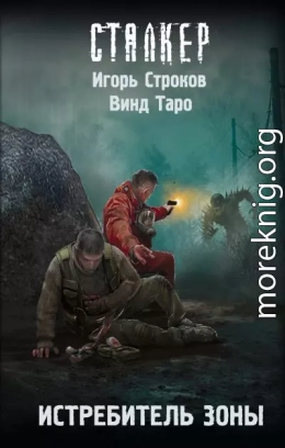 Истребитель Зоны