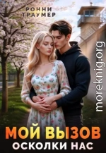 Мой вызов. Осколки нас