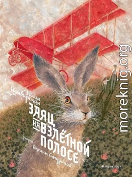Заяц на взлетной полосе