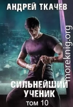 Сильнейший ученик. Том 10