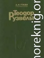 Теодор Рузвельт. Политический портрет