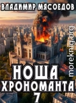 Ноша хрономанта 7