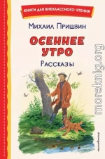 Осеннее утро. Рассказы