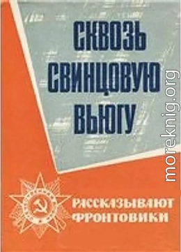 Сквозь свинцовую вьюгу