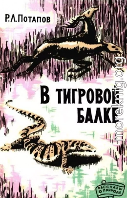 В Тигровой балке