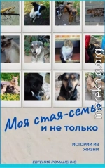 Моя стая-семья и не только
