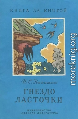 Гнездо ласточки [авторский сборник]