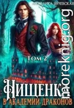 Нищенка в академии драконов 2