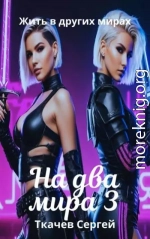 На два мира 3