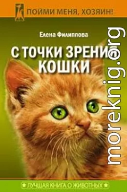 С точки зрения Кошки