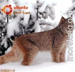 Руководство по переходу на Ubuntu 10.04 LTS «Lucid Lynx»