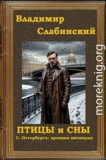 Птицы и сны. С.-Петербургъ: хроники иномирья.
