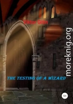 The Testing of a Wizard