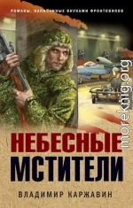 Небесные мстители