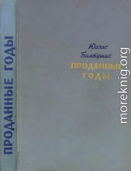 Проданные годы [Роман в новеллах]