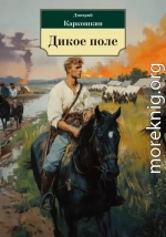 Дикое поле