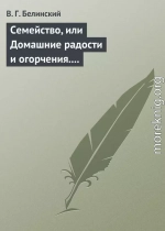 Семейство, или Домашние радости и огорчения. Роман шведской писательницы Фредерики Бремер…