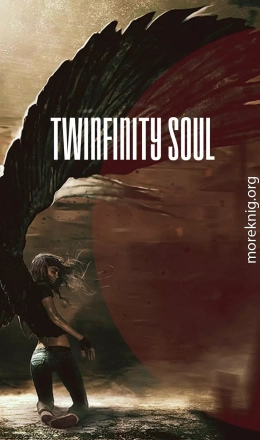 Twinfinity Soul (СИ)