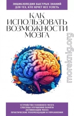 Как использовать возможности мозга. Для тех, кто хочет все успеть