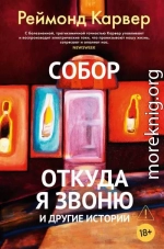 Собор. Откуда я звоню и другие истории