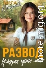Развод. История одного лета