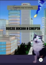 После жизни и смерти