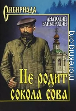 Не родит сокола сова (Сборник)