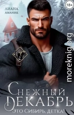Снежный Декабрь