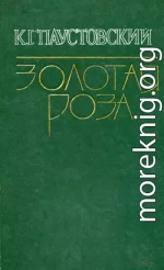 Кордон «273»