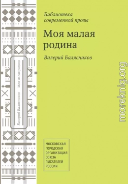 Моя малая родина (сборник)