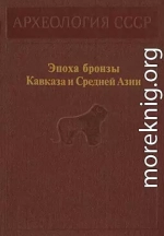 Эпоха бронзы Кавказа и Средней Азии