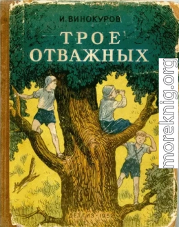 Трое отважных