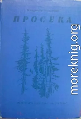 Просека [изд. 1984 г., худож. Ю. М. Шабанов]