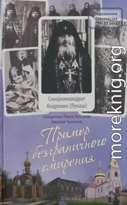 Пример безграничного смирения. Жизнеописание и наставления схиархимандрита Андроника (Лукаша)