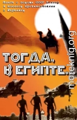 Тогда в Египте... (Книга о помощи СССР Египту в военном противостоянии с Израилем)