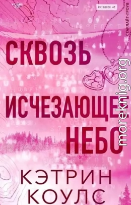 Сквозь исчезающее небо