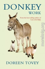 Donkey Work