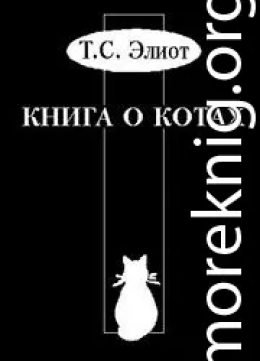 Учебник Старого Опоссума по котоведению