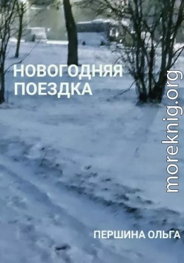 Новогодняя поездка