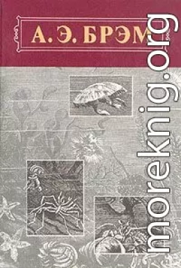 Жизнь животных, Том III, Пресмыкающиеся. Земноводные. Рыбы